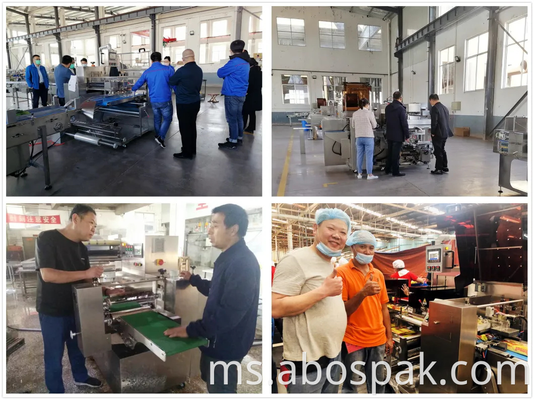 Makanan Pieces Group Bungkus Sekunder Box Automatik Motion Flow Banting Bag Sealing Packing Packaging Machinery